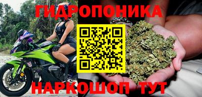 метадон Кимры