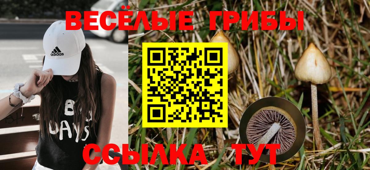Псилоцибиновые грибы MAGIC MUSHROOMS Заинск