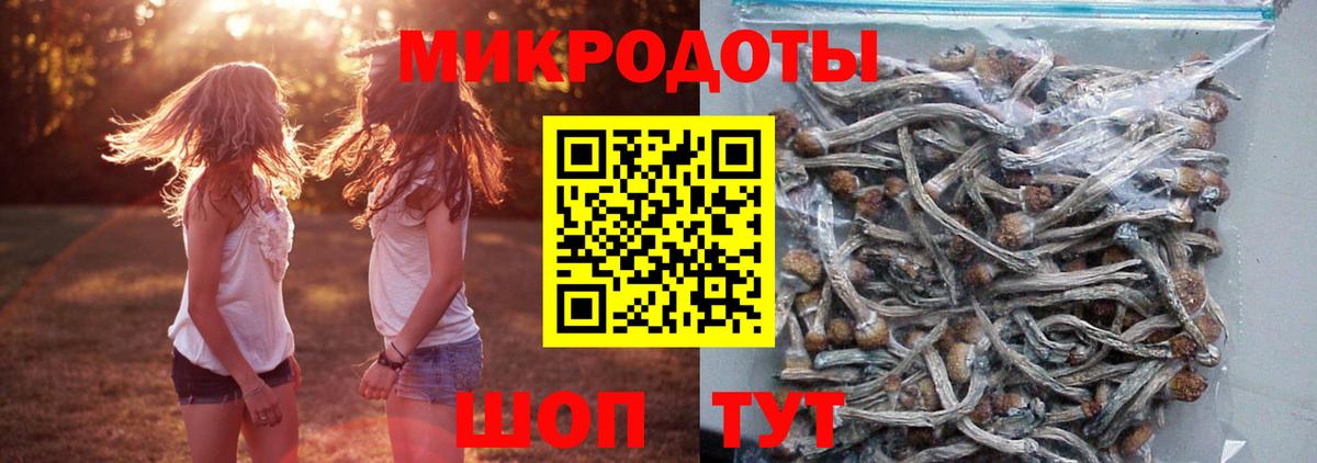 Псилоцибиновые грибы GOLDEN TEACHER Заинск