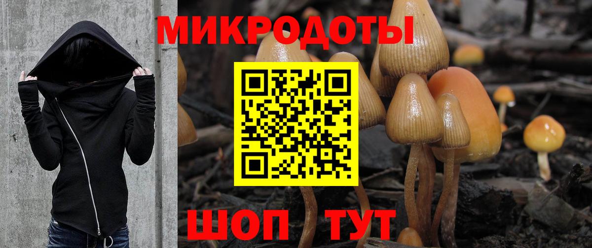 Заинск  Псилоцибиновые грибы мухоморы  Галлюциногенные грибы MAGIC MUSHROOMS  Вход с VPN 
